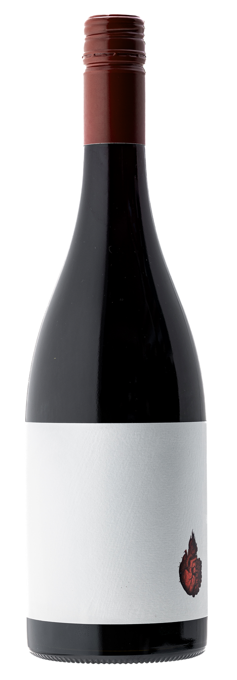 2023 Saorsa Hawkes Bay Syrah