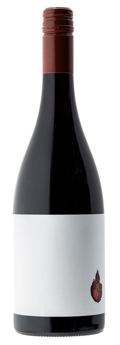 2023 Saorsa Hawkes Bay Syrah