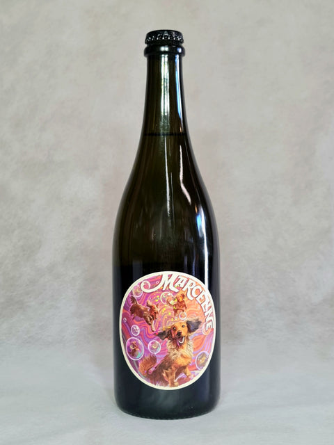 2022 Swift Marceline Sparkling
