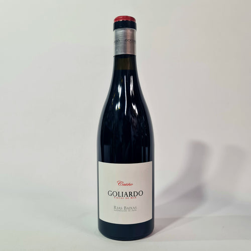 2017 Bodegas Forjas del Salnes Golidaro Caino