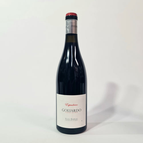 2017 Bodegas Forjas del Salnes Golidaro Espadeiro