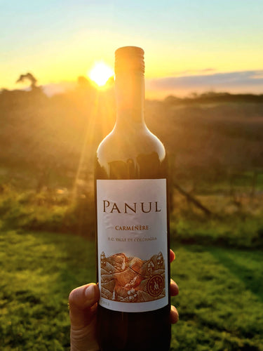 Panul Carmenere