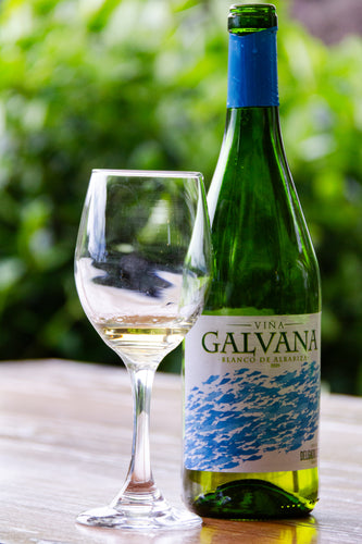 2020 Delgado Zuleta Vina Galvana