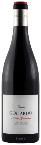 2017 Bodegas Forjas del Salnes Golidaro Caino