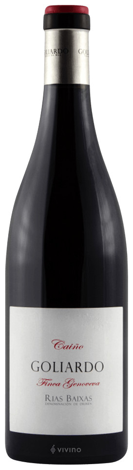 2017 Bodegas Forjas del Salnes Golidaro Caino