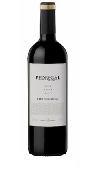 2020 Antigua Bodega Stagnari Pedregal Tannat
