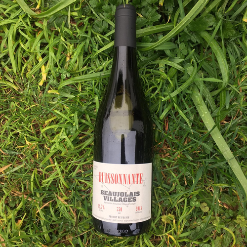 2018 Domaine Lenois Buissonnante Beaujolais Village