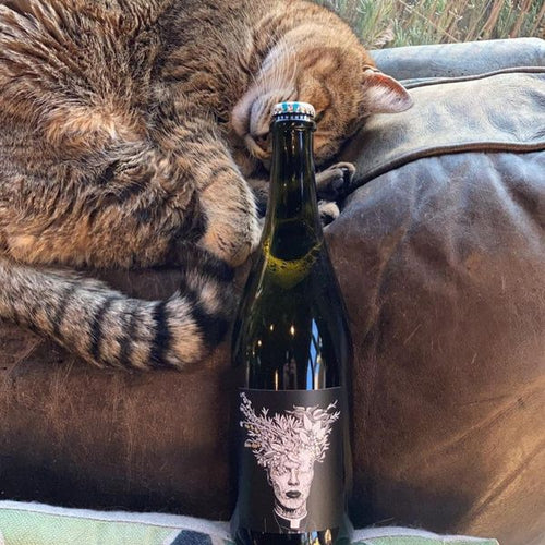 2021 Mount Edward Pet Nat (Pinot Blanc)
