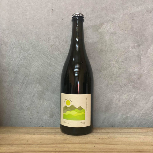2020 Bryterlater Swell Petillant Naturel